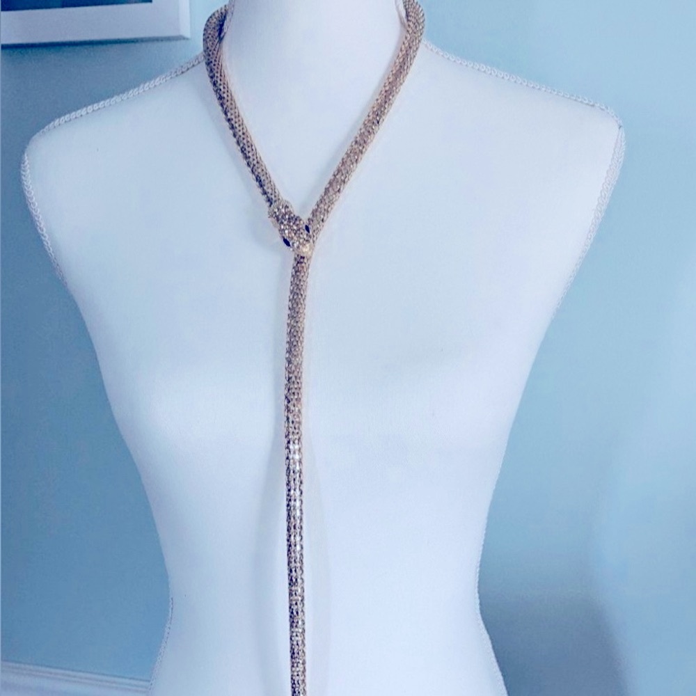Elegant Silver Lariat Necklace